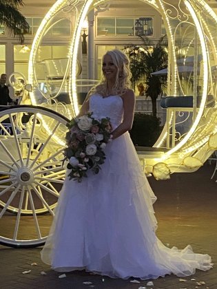 Disney Fairytale Wedding